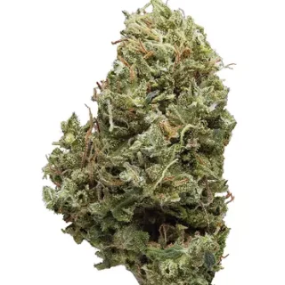 Berry Haze Sativa Weed Strain