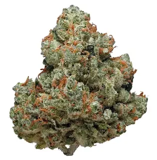 Chemdawg Indica Weed Strain