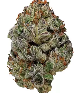 Birthday Cake Hybrid Kush Strain