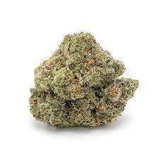 Malana Sativa Cannabis Strain