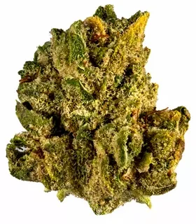 Larry OG Hybrid Marijuana Strain