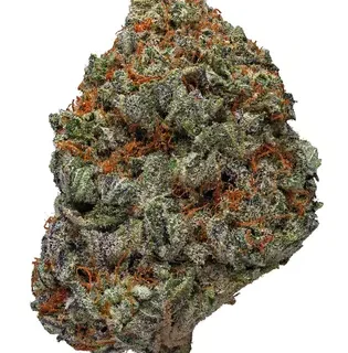Blackberry Hybrid Kush Strain