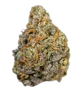 Trainwreck Sativa Marijuana Strain