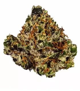 Nepalese Sativa Marijuana Strain