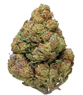 Cheese Indica Marijuana Strain