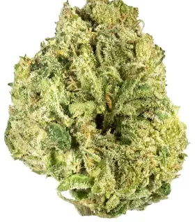 Lemon Sugar Indica Weed Strain