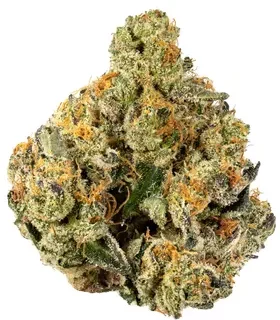 Gelato Indica Marijuana Strain