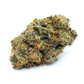 Dark Star Indica Cannabis Strain