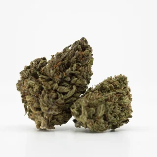 Doc Trinity Sativa Marijuana Strain