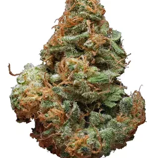 Blue Cheese Indica Cannabis Strain