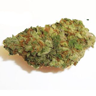 Blueberry Indica Weed Strain