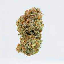 Red Hot Cookies Sativa Cannabis Strain