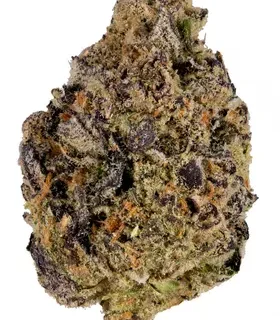 Black Mamba Indica Cannabis Strain