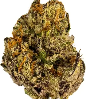 Grape Pie Indica Marijuana Strain