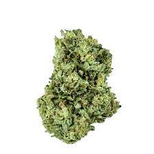 Puna Budder Hybrid Weed Strain