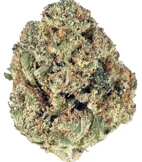 Pac-Man OG Marijuana Strain