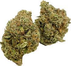 99 Problems Sativa Marijuana Strain