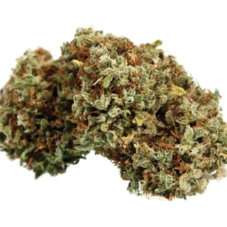 Malawi Gold Sativa Cannabis strain