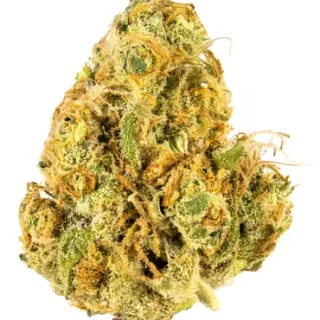 Orange Zkittlez Hybrid Weed Strain