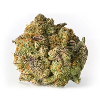 Black African Magic Sativa Weed Strain