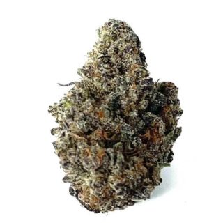 Chocolate OG Indica Weed Strain