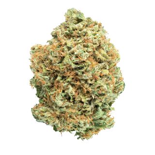 Strawberry Cookies Indica weed strains