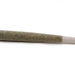 Moby Dick Pre-Rolls Joint