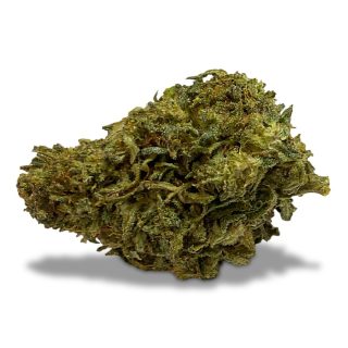 Mountain Mango Delta 8 Flower