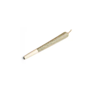 Watermelon Gushers Pre Roll Joint