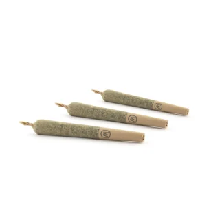 Gold Island Sweet Skunk Pre-Rolled